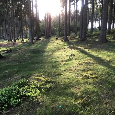 Kuhberg Apartmán Steinberg (Saxony)